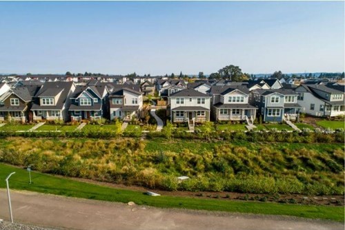 Homes facing a natural area with path.