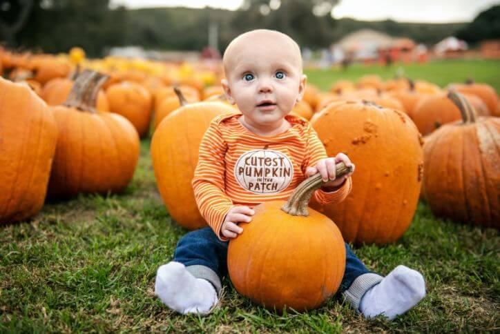 Portland’s Favorite Pumpkin Patches