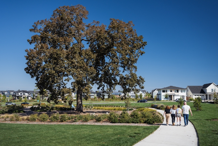 A family walks past a large historic oak tree in Hillsboro, Oregon’s Tamarack Park.