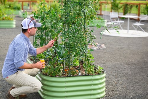 A man tends to a lush garden plot in the Reed’s Crossing Community Garden.