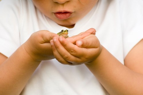 A child holds a small frog in cupped hands.