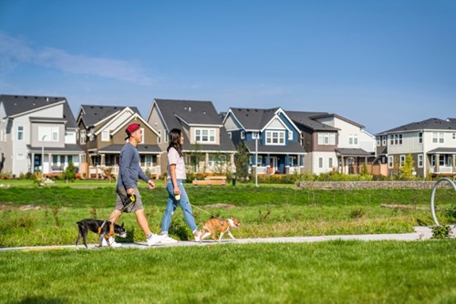 A couple walks through Reed’s Crossing with two dogs on leashes.